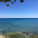 The Bay *